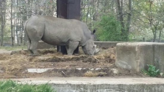 Dierentuin van Sofia
